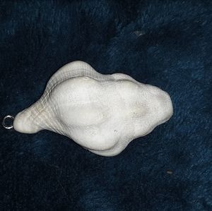 White Seashell Pendant